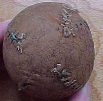 19th Century Lemon Peel Ball 16